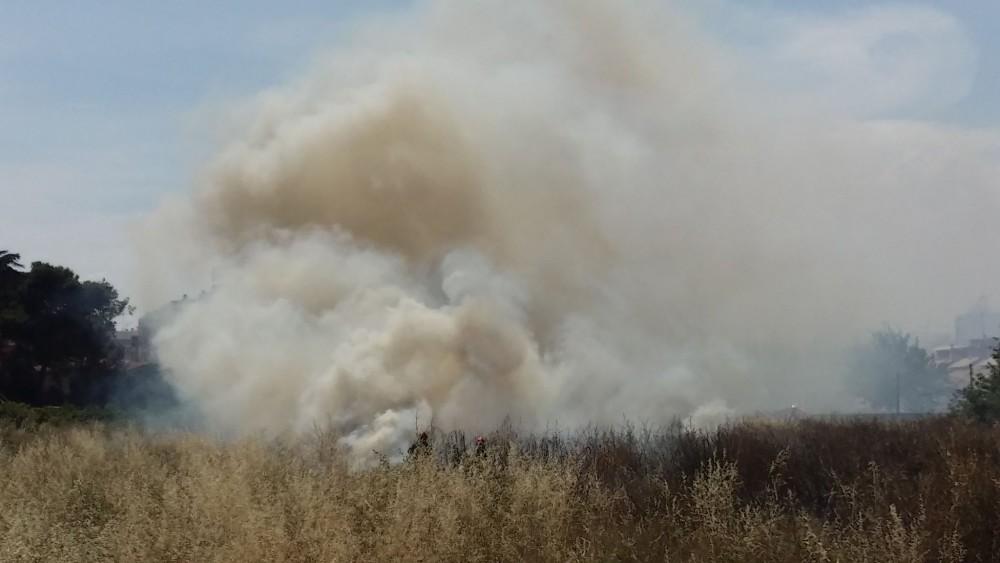 Arde La Vegetaci N En Una Parcela De La Avenida Taranc N De Borriana