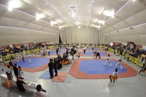 VI Open de Taekwondo Marina d'or