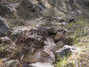 Arroyo en el Penyagolosa