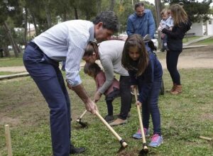 Bataller, plnatando pinos