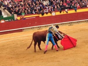 Corrida de Toros Magdalena 15III15 (15)