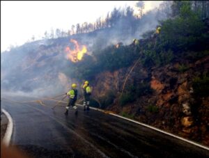 Incendio Gatova 280617 4