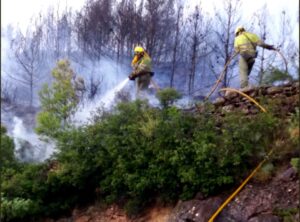 Incendio Gatova 280617 5