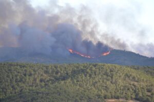 Incendio Gatova 2806172