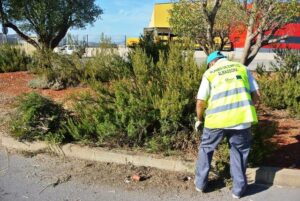 Plan Municipal de Empleo Almassora