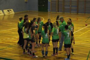 equipo balonmano femenino castellón