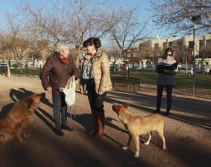 parc cani mary carmen ribera castello