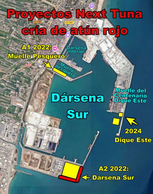 Propuestas para instalación de cría de atún rojo en Puerto de Castellón