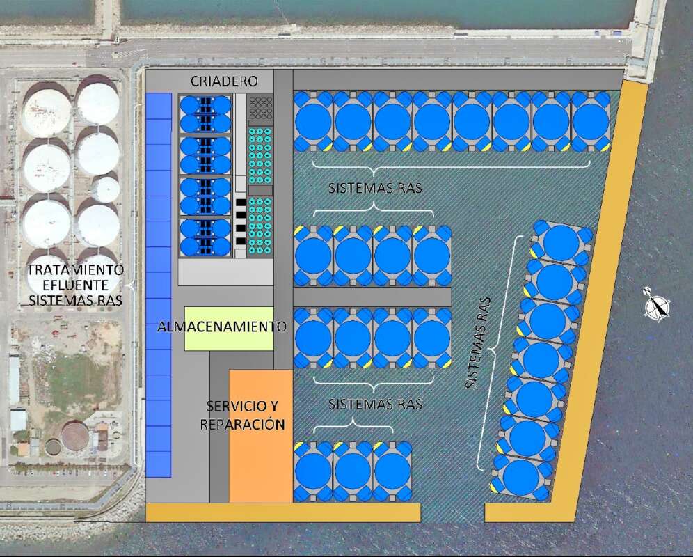 Propuestas para instalación de cría de atún rojo en Puerto de Castellón