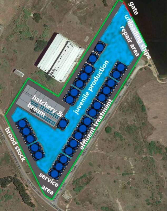 Infografía del proyecto para la cría del atún en Cerceña