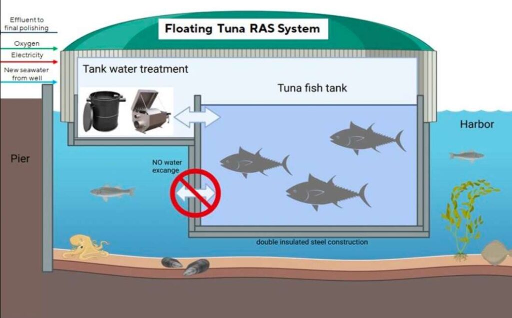 Proyecto RAS acuicultura de Nex Tuna en Castellón