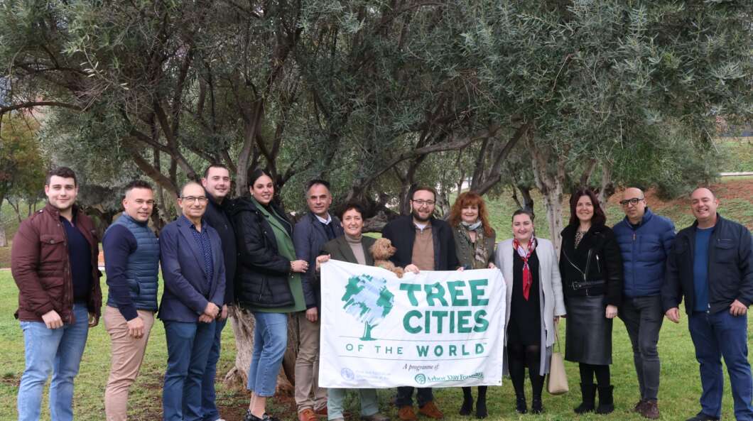 onda ciudad mundial arbol naciones unidas