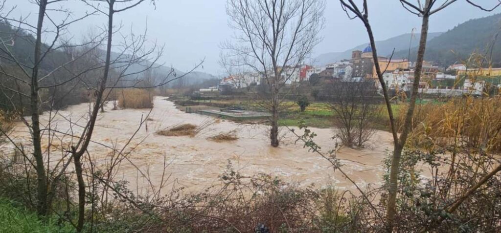 Ayodar temporal de lluvias030325