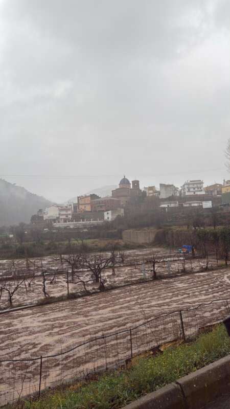 Ayodar temporal de lluvias030325