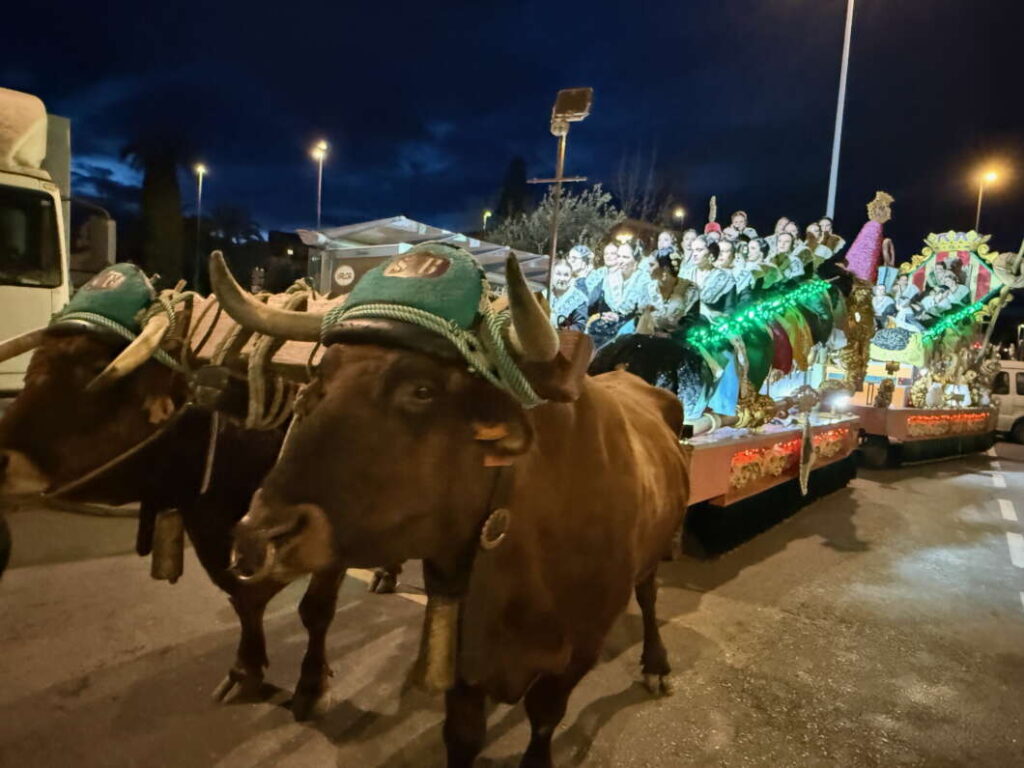 Madrinas, damas y reinas de Castellón. Pregó Magdalena 2025