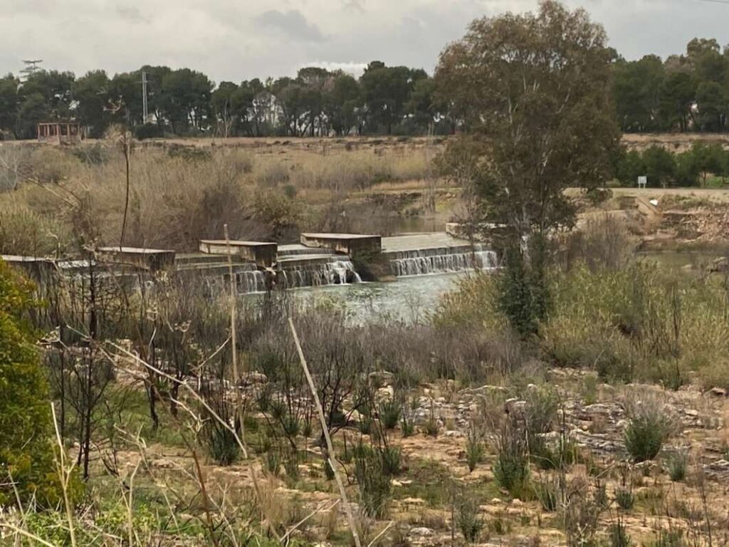 rio mIjares en en azud de burriana-5 de marzo 2025